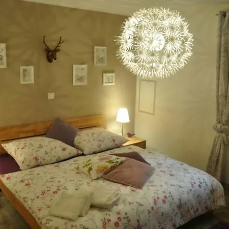 Your Holiday House
